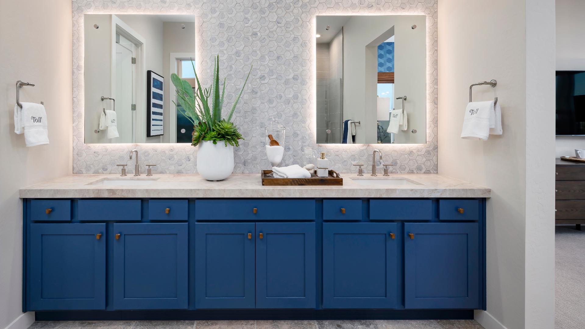 Primary bathroom with dual-sink vanity and beautiful backsplash