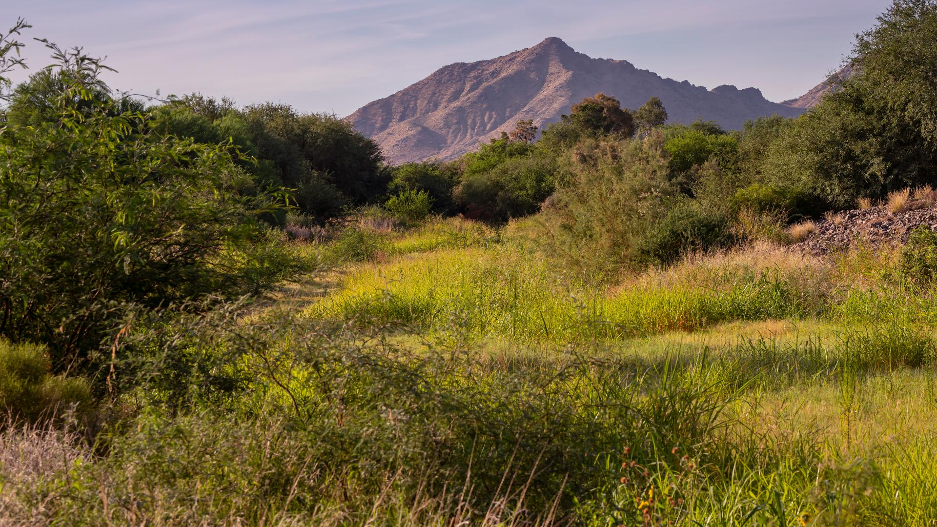 Community access to Queen Creek Wash Trail